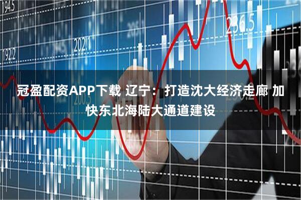 冠盈配资APP下载 辽宁：打造沈大经济走廊 加快东北海陆大通道建设